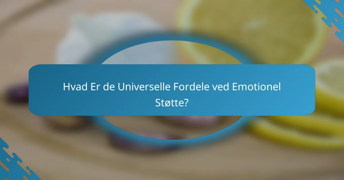 Hvad Er de Universelle Fordele ved Emotionel Støtte?