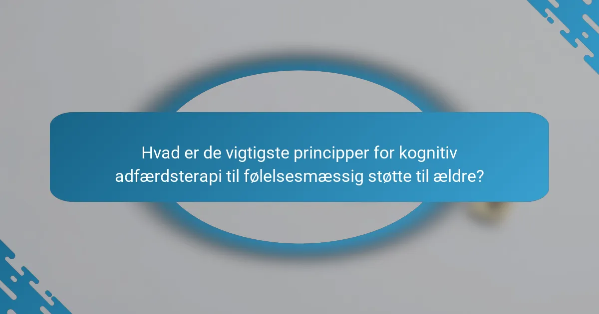 Hvad er de vigtigste principper for kognitiv adfærdsterapi til følelsesmæssig støtte til ældre?