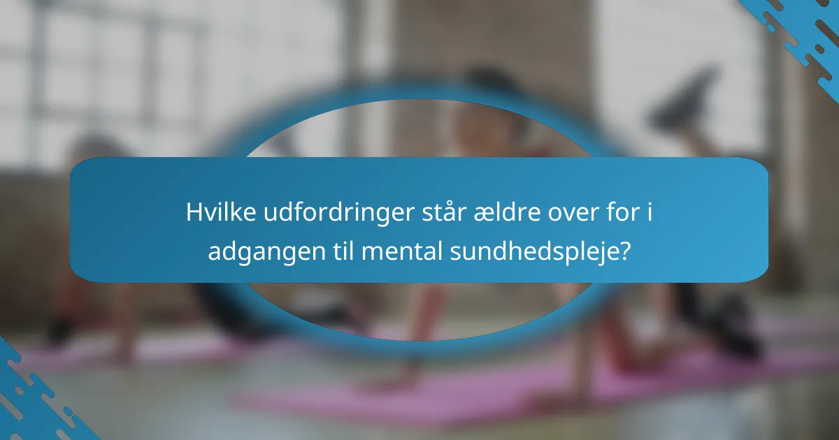 Hvilke udfordringer står ældre over for i adgangen til mental sundhedspleje?